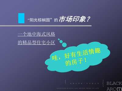 城市綠洲——xx棕櫚園 重新定義理想居所，銷售與推廣策略升級